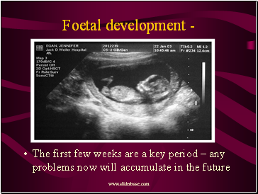 Foetal development