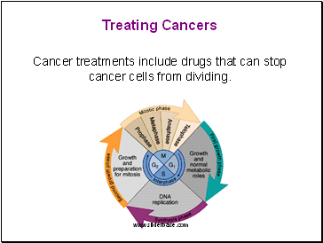 Treating Cancers
