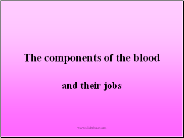 The components of the blood