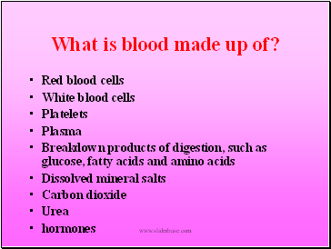 What is blood made up of?