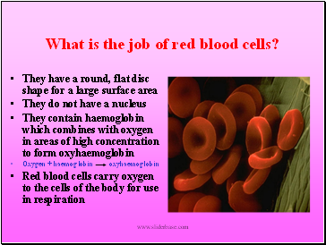 What is the job of red blood cells?