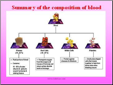 Summary of the composition of blood