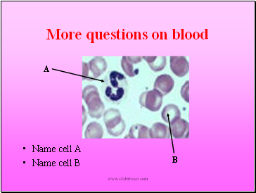 More questions on blood