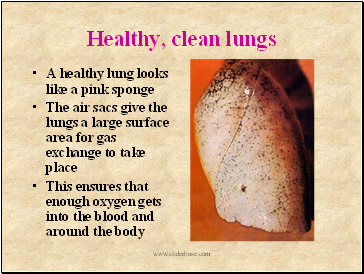 Healthy, clean lungs