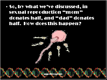 So, by what weve discussed, in sexual reproduction mom donates half, and dad donates half. How does this happen?