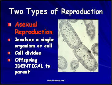 Two Types of Reproduction