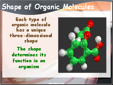 Shape of Organic Molecules