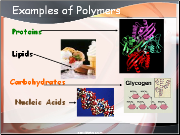 Examples of Polymers