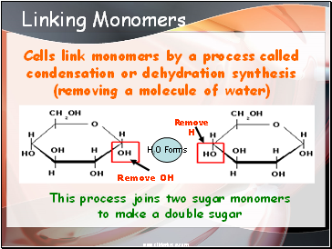Linking Monomers