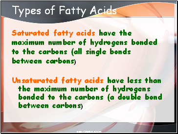 Types of Fatty Acids