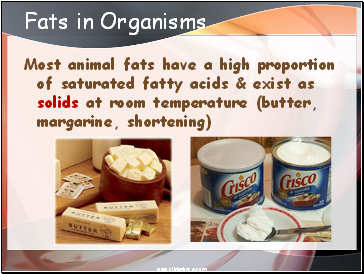 Fats in Organisms