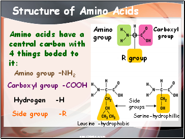 Structure of Amino Acids