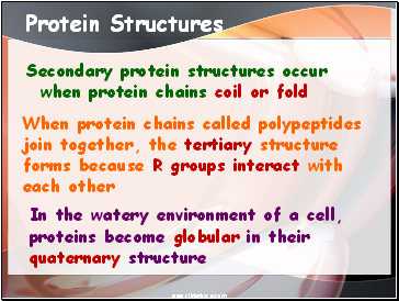 Protein Structures