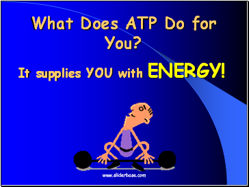 What Does ATP Do for You?