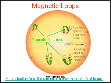 Magnetic Loops
