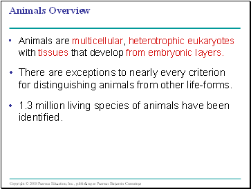 Animals Overview