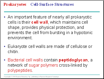 Prokaryotes Cell-Surface Structures