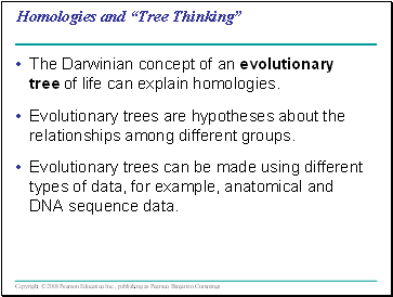 Homologies and Tree Thinking