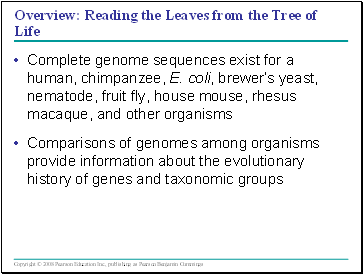 Genomes and Their Evolution