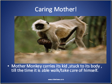 Caring Mother!