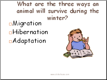 What are the three ways an animal will survive during the winter?