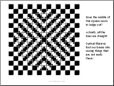 Does the middle of this square seem to bulge out? Actually, all the lines are straight! Optical illusions fool our brains into seeing things that are not really there!
