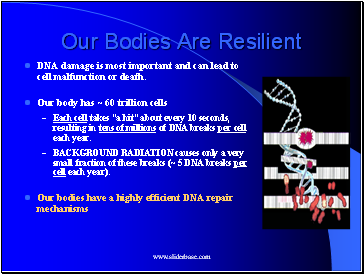 Our Bodies Are Resilient