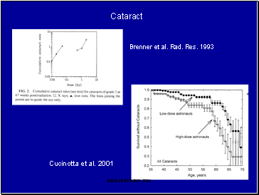 Brenner et al. Rad. Res. 1993