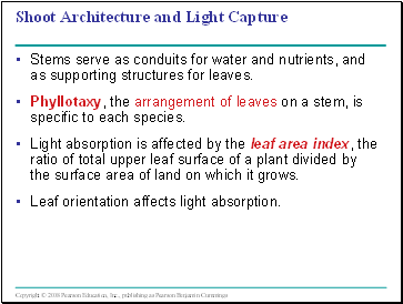 Shoot Architecture and Light Capture