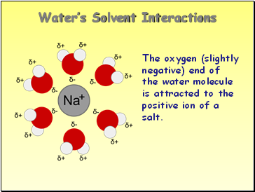 Waters Solvent Interactions