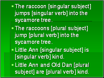 The raccoon [singular subject] jumps [singular verb] into the sycamore tree.