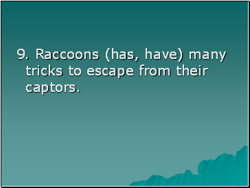 9. Raccoons (has, have) many tricks to escape from their captors.