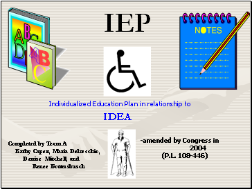 The IEP (Individualized Educational Plan)