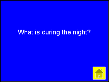 What is during the night?
