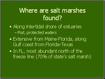 Where are salt marshes found?