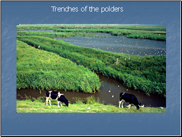 Trenches of the polders