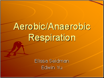 Aerobic Anaerobic Respiration