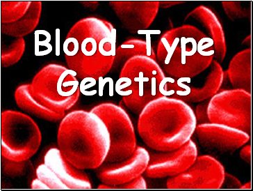Blood Type Genetics
