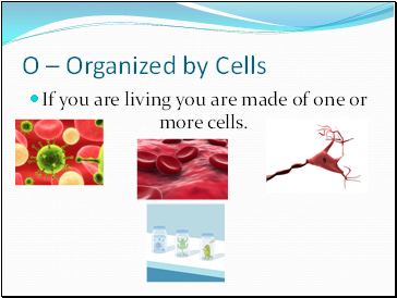 O  Organized by Cells