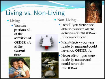 Living vs. Non-Living