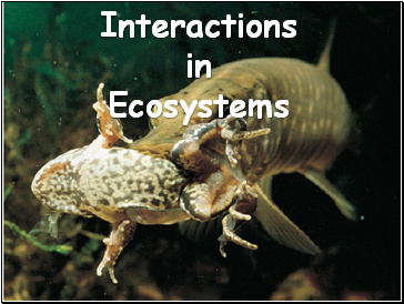 Interactions. Making a Living in the Ecosystem