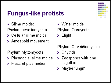 Fungus-like protists