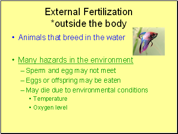 External Fertilization outside the body