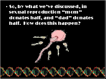 So, by what weve discussed, in sexual reproduction mom donates half, and dad donates half. How does this happen?