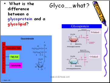 Glycowhat?