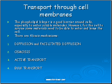 Transport through cell membranes