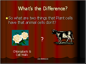 Whats the Difference?
