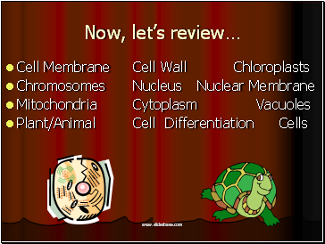 Now, lets review