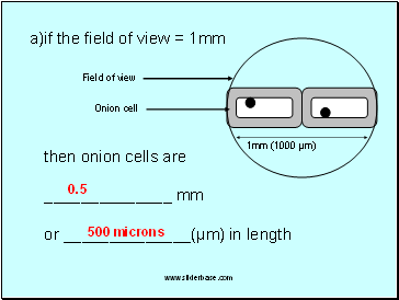 if the field of view = 1mm