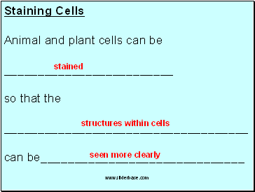 Staining Cells